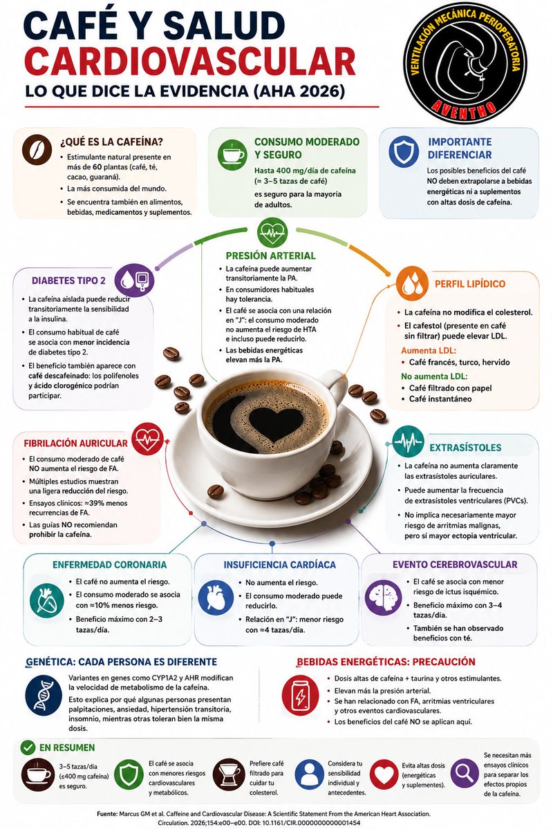 DiegoEscarraman's tweet photo. ¿El café es bueno o malo para el corazón? ☕️
#AventhoAnestesia #Aventho #SMMCE #SAML
Durante años la cafeína fue señalada como una posible causa de hipertensión, arritmias e infarto. Sin embargo, la evidencia ha evolucionado.
La nueva declaración científica de la American Heart Association (2026) concluye que un consumo moderado (hasta 400 mg de cafeína/día, aproximadamente 3–5 tazas de café) es seguro para la mayoría de los adultos e incluso se asocia con un menor riesgo de enfermedad coronaria, insuficiencia cardíaca, fibrilación auricular, accidente cerebrovascular y diabetes tipo 2.
Pero hay un detalle importante: no todo el beneficio proviene de la cafeína.
El café contiene cientos de compuestos bioactivos, como ácidos clorogénicos, polifenoles, trigonelina y melanoidinas, con propiedades antioxidantes y antiinflamatorias que podrían mejorar la función endotelial, la sensibilidad a la insulina y el metabolismo de la glucosa.
Además, la respuesta a la cafeína es individual. Variantes genéticas (CYP1A2) modifican la velocidad con la que metabolizamos la cafeína, por lo que algunas personas presentan palpitaciones o insomnio con una sola taza, mientras otras toleran varias sin problema.
⚠️ Importante: estos hallazgos no aplican a las bebidas energéticas ni a suplementos con altas dosis de cafeína, donde la evidencia apunta hacia un mayor riesgo cardiovascular.
La dosis, la fuente y el contexto importan tanto como la cafeína misma.