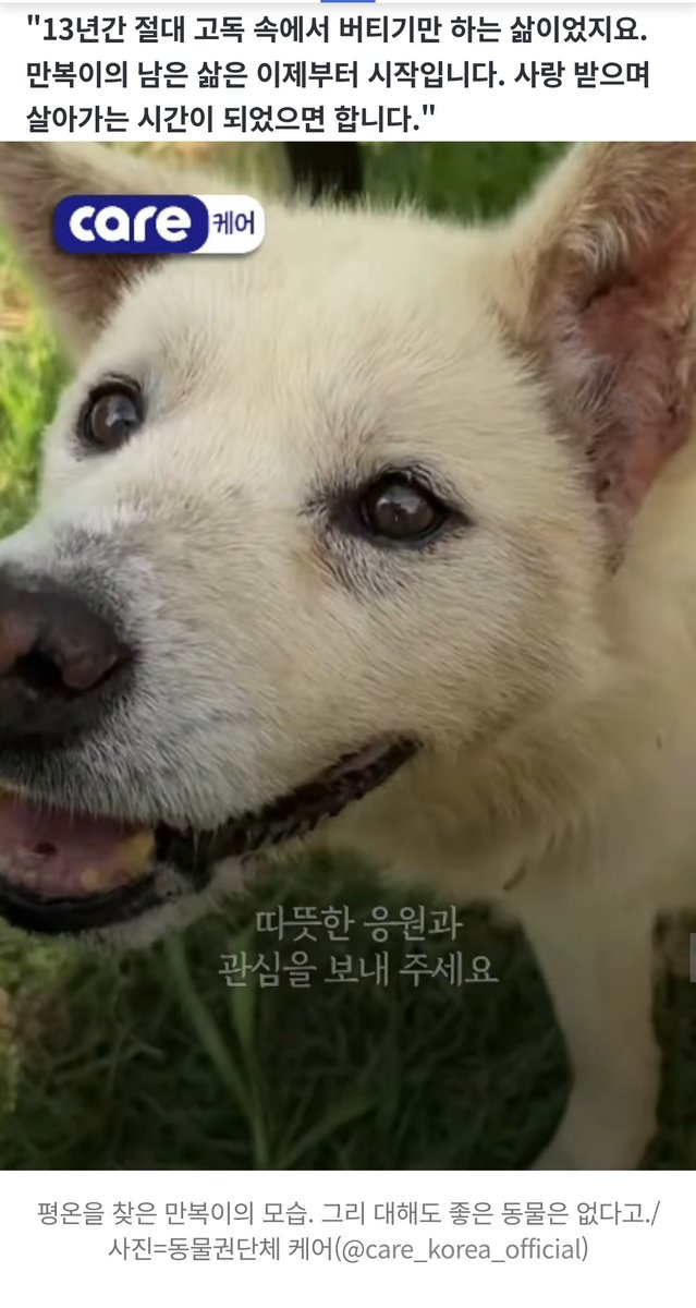 to_i_ng's tweet photo. 13년간 옥상에 갇혔던 '만복이'…잔디를 밟았다

남형도 기자 https://t.co/b2I2JOGADB https://t.co/SgavPQQVwE