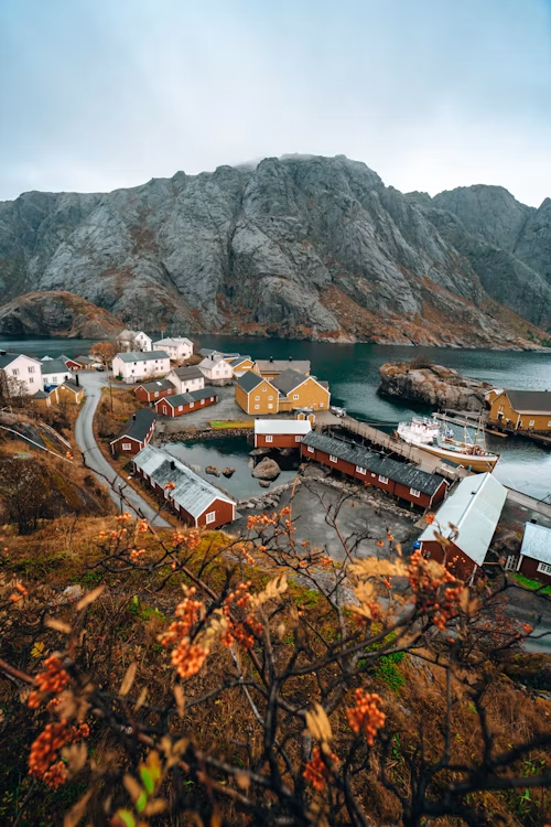 zenxconsultancy's tweet photo. Dreaming of working & exploring among Norway’s fjords? 🇳🇴Norway’s Working Holiday Visa offers young professionals a 12-month pathway to live, work, and build global experience.Let ZenX Consultancy handle your visa and relocation strategy! DM us or contact info@zenxconsultancy.com to start!
#ZenXConsultancy #MoveToNorway #GlobalCareers