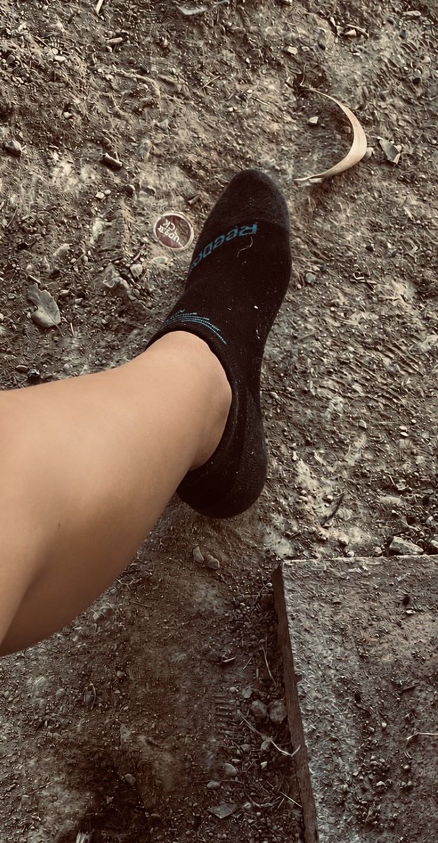 Alina_usedaocks's tweet photo. The sock is so wet I am sweating way too much 😌for 35€ it’s yours 😘dm ? #socks #dirty #sellingfeet #foot #findom #dirtyfeet https://t.co/Ti0523nKLl