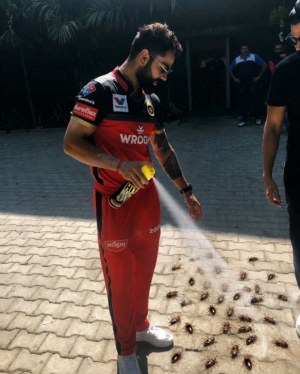 imkevin149's tweet photo. He knows how to deal with cockroaches https://t.co/rfnS1Lv6Ag