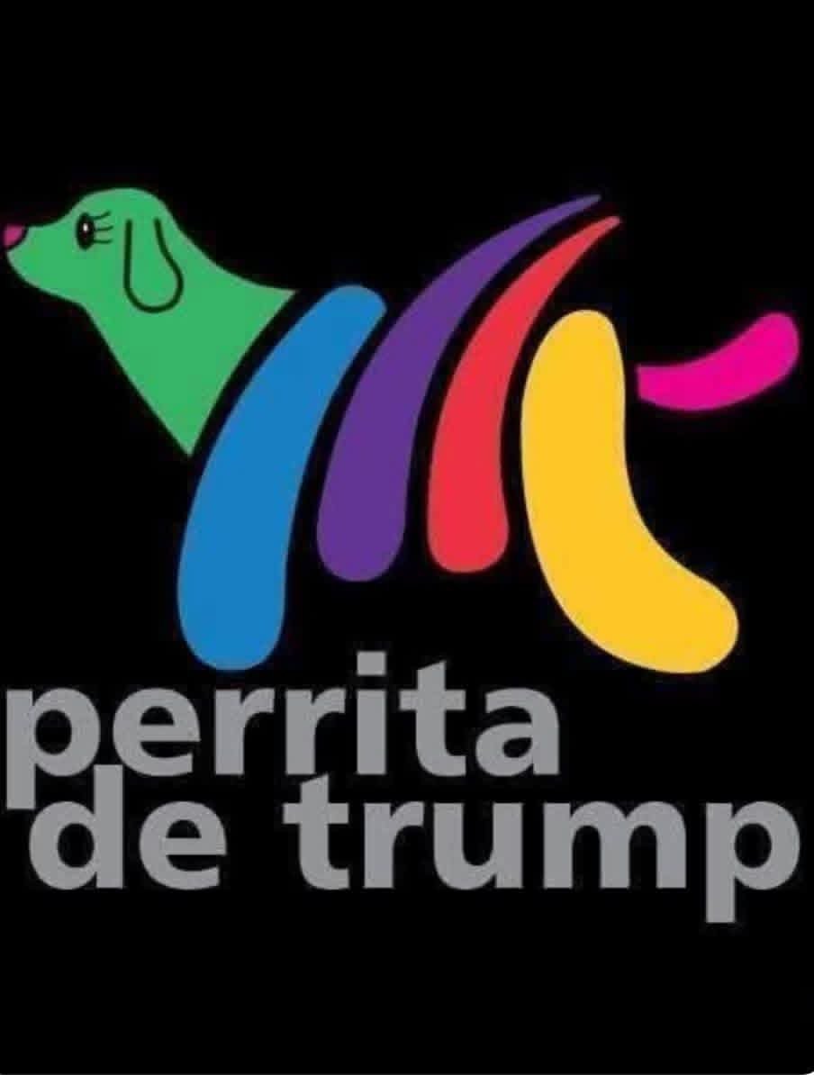 Alberto46914731's tweet photo. @RicardoBSalinas Y tú qué crees que somos pendejos o que pinche PERRITA DE TRUMP, el que está sembrando odio y dividiendo a los mexicanos eres TÚ pinche perra, pero como siempre, tiras la piedra y escondes la mano y niegas todo, eres una mierda asquerosa. ✊✊✊✊✊🖕🖕 https://t.co/NCg2Hcbsna