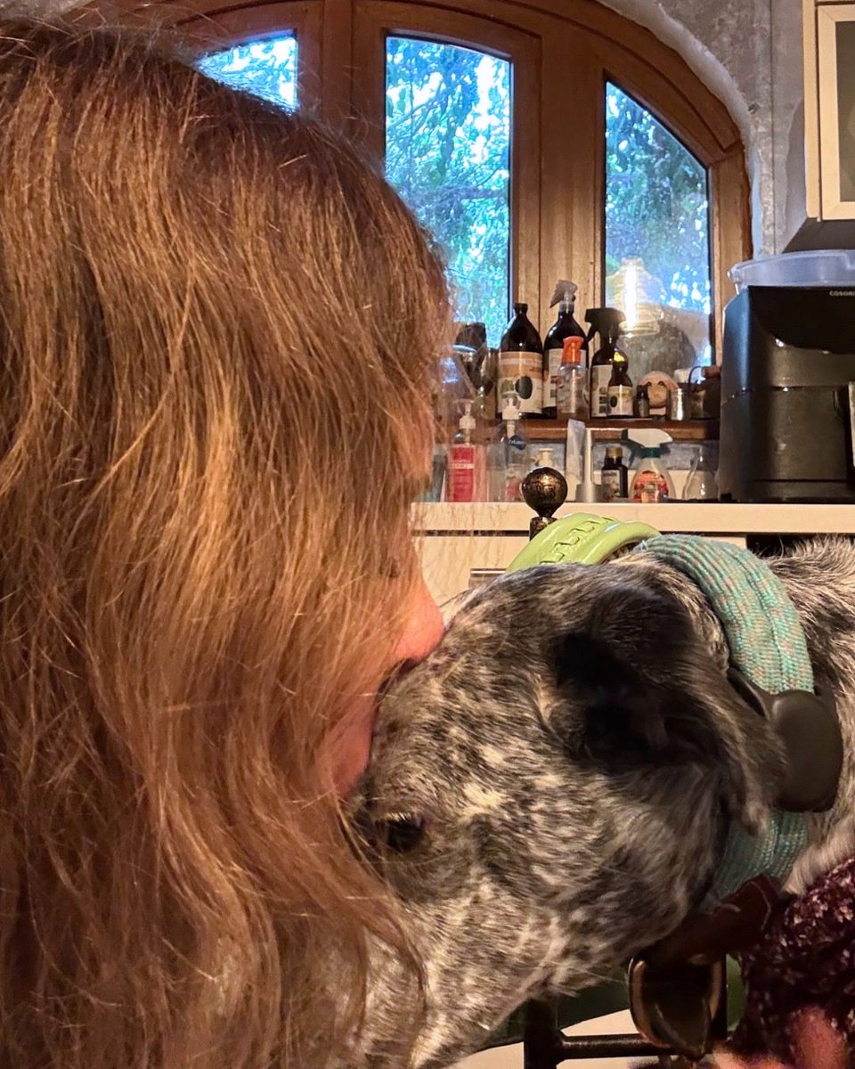 lmlangoni's tweet photo. Si alguna vez desaparezco un rato, probablemente estoy aquí.
Dándole un abrazo a quien siempre sabe cuándo lo necesito. 🤍🐾

¿Quién o qué les devuelve la calma cuando el mundo se siente demasiado ruidoso?

#LucianaLangoni #LaLeyendaDeBolzarYLaskia #LibrosFantasia #DarkRomance https://t.co/JfWnAcWlLV