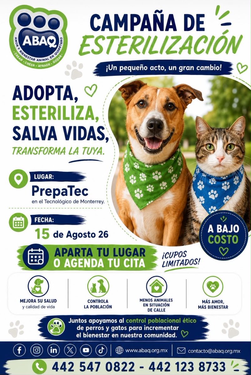 ABAQQueretaroBA's tweet photo. 🐾 ¡Esterilizar es un acto de amor y responsabilidad! ❤️ https://t.co/pGKP0XiG5T