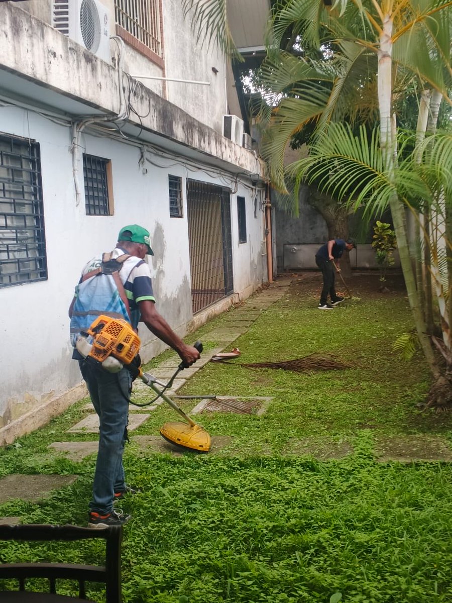 AlcaldiaBaruta's tweet photo. ¡Feliz jueves, baruteños! 🍃
Desde temprano nuestras cuadrillas de #AcciónInmediata se encuentran realizando labores de:
🍃Mantenimiento General:
📍Urb. #SantaPaula
🍃Desmalezado:
📍Urb. #LaTrinidad
📍Sector. #LasMinas
🚧Demolición y Nivelación:
📍Polideportivo. #SantaPaula https://t.co/za8F7Zmu8q