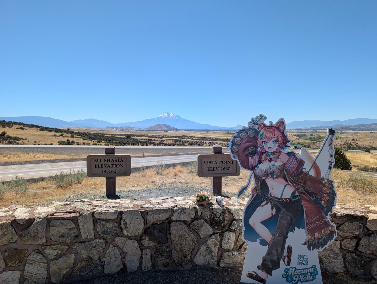 SpacePandie's tweet photo. #PichiLive I hope Mozu is okay with co-driving with me to Offkai this year. Also ant eater is named Fluff, he's a foster and will find their new home at Offkai. https://t.co/SMCG3KWQoh