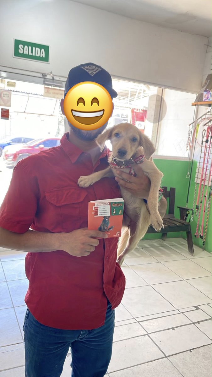 gllgina1's tweet photo. Amira su ayer.. su hoy💕💕 ADOPTADA!! preciosa muñequita tan bebé y ya habias sufrido mucho en las calles.. eso quedo atras.. que todo vaya bien peque 🙏 https://t.co/x6QlLShRBV