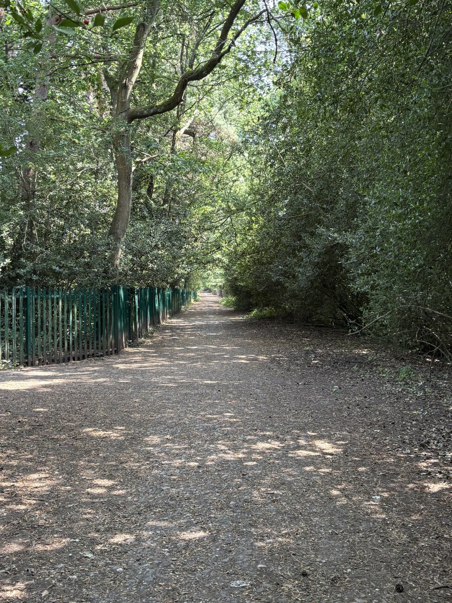 WalkingPorter's tweet photo. Sutton Park never disappoints. 🌳

8.7 miles of woodland trails, lakes and fresh air.

Definitely one of the best free walks in Birmingham. https://t.co/tcOZ9sNTqN