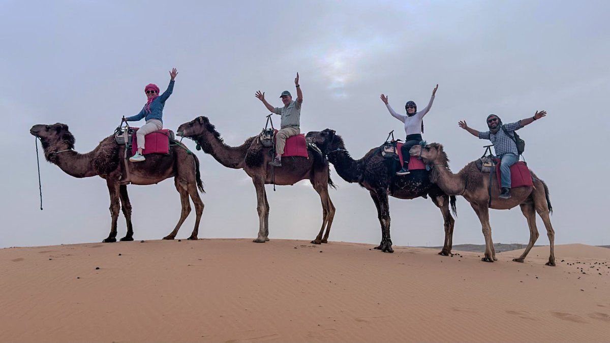tulanealumni's tweet photo. Grab Your Passports

We know two things: you're searching for a reason to travel, and your passport needs more stamps. Be like our Tulanians in Morocco, and let's make it all happen. See what experiences await you in our Tulane Alumni Travel Program.

🌐: https://t.co/jwcJnlZKJm https://t.co/wmwq8EYysU