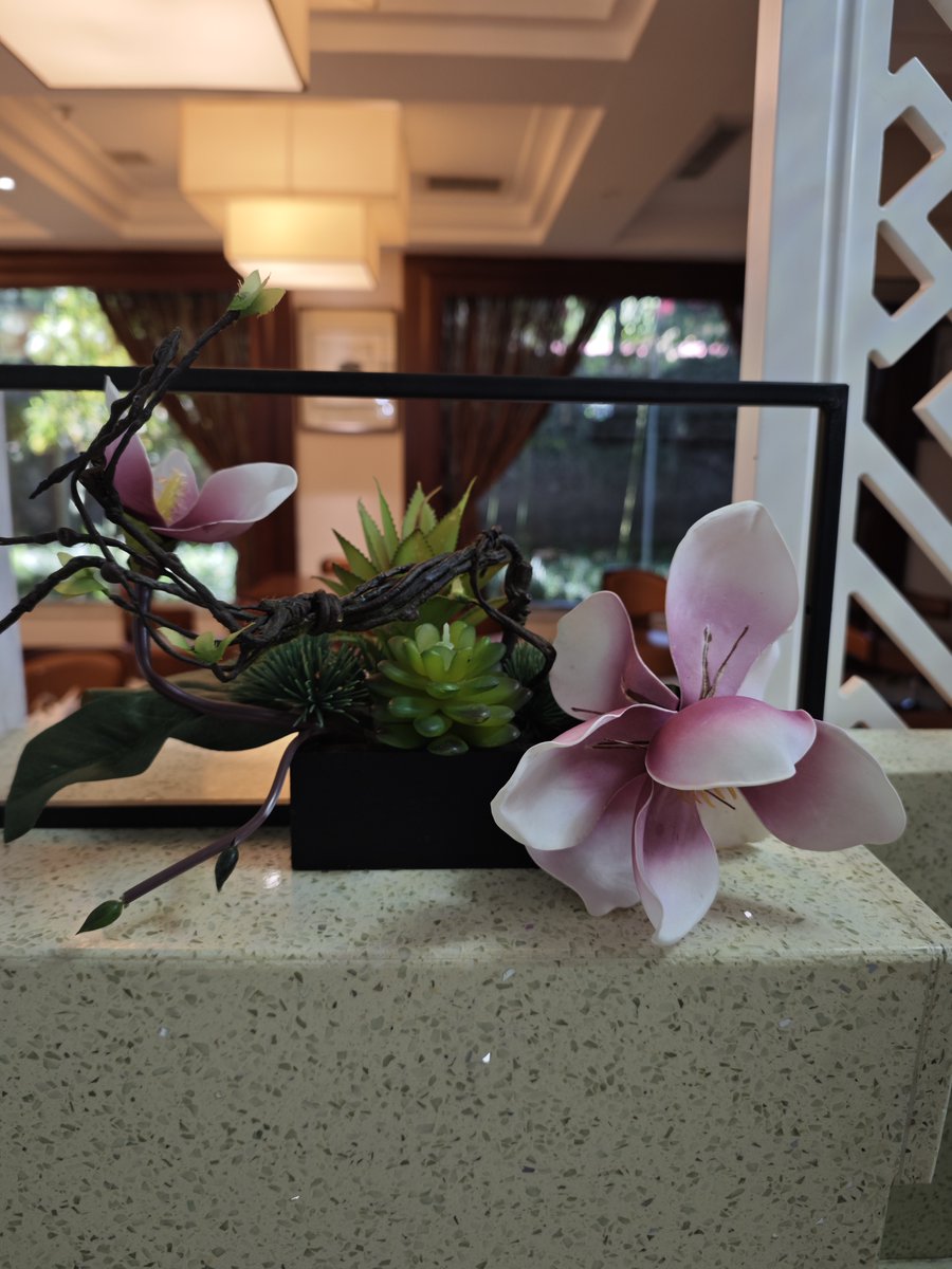 pmk00115's tweet photo. Just tried a super easy DIY terracotta pot planter with dried eucalyptus! No fancy tools needed, perfect for sprucing up my desk this weekend  #DIYCrafts， https://t.co/W2RRKaZH8T