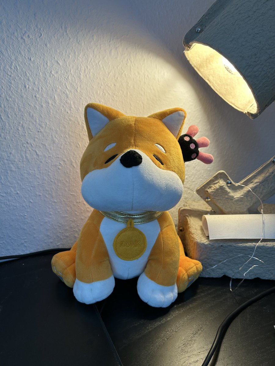 Gordobonk's tweet photo. @bonk_inu $Bonk arc just started ❗️❗️❗️ https://t.co/Do9OaZuifb