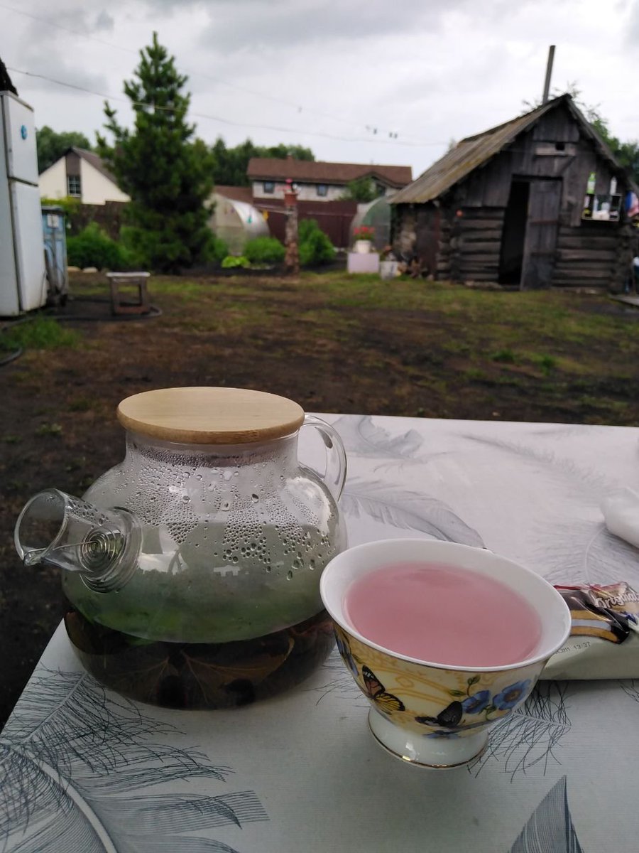 btwavacado's tweet photo. денек в деревне. https://t.co/MyYGzxjhSi