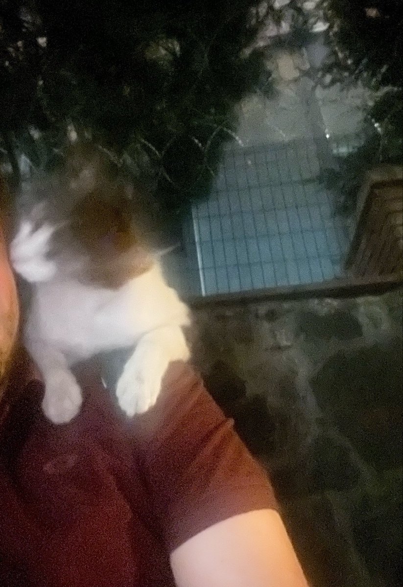 maalesefolmd's tweet photo. Moralim bozuk kaldırıma çöktüm gelip gönlümü düzeltti https://t.co/UpDEwbMM8G
