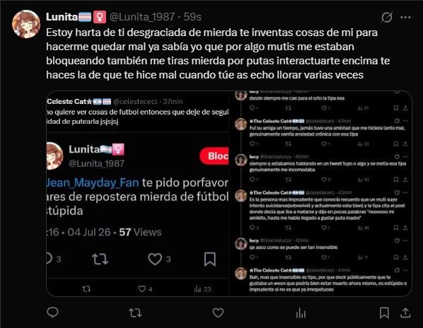 ☆The Celeste Cat☆🇦🇷🏳️‍⚧️ tweet media