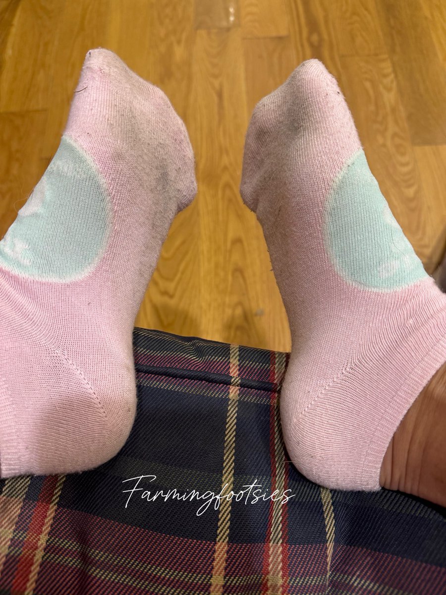 Farmingfootsies's tweet photo. Who wants these to all to themselves to make them pop??? #funsocks #dirtysocks https://t.co/6Al1r9b6UI