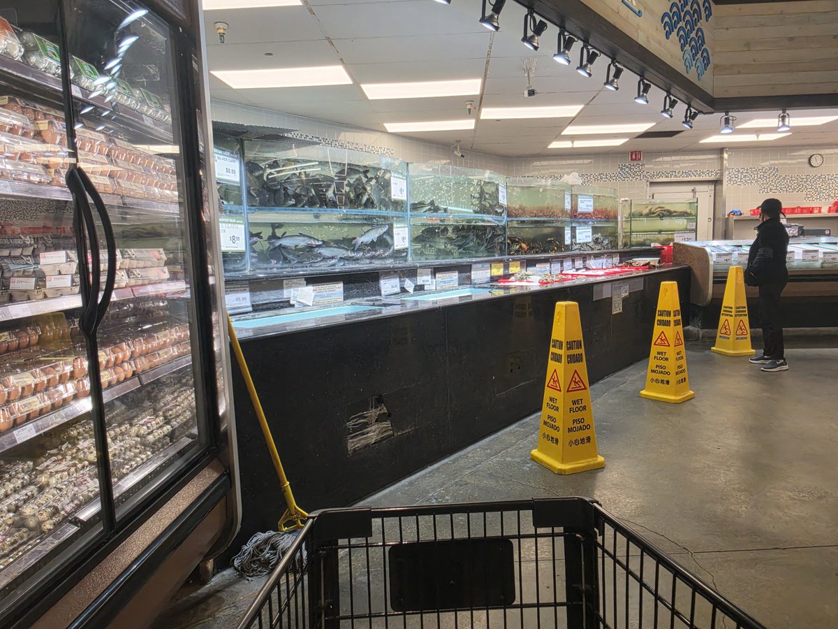 steve_snek's tweet photo. More pics of the inside https://t.co/EFjIJBEkRY