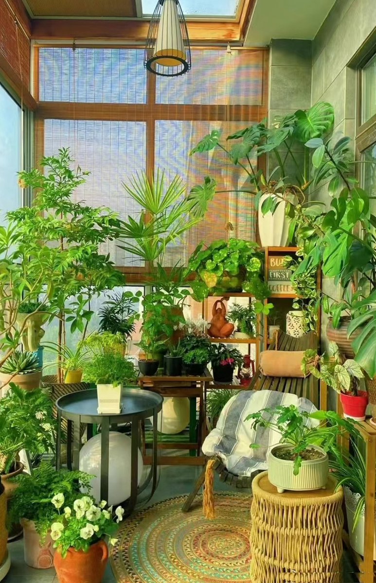 null00cm's tweet photo. My tiny balcony now blooms with veggies I grew myself—turning empty space into my own little fresh food source this year. https://t.co/HhV1EwGE4y