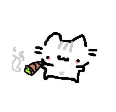 Rotty_paw's tweet photo. ⌣⌣⌣⌣⌣⌣⌣⌣⌣⌣⌣⌣ ‧₊˚✧
╰─ - ̗̀  not new to #nsfwtwt !! 
Haii! I’m Rotty/Rot!!
⌣⌣⌣⌣⌣⌣⌣⌣⌣⌣⌣⌣ ‧₊˚✧
☆┇she/her
☆┇Switch
☆┇18
☆┇DMs open!
⌣⌣⌣⌣⌣⌣⌣⌣⌣⌣⌣⌣ ‧₊˚✧
╰─ - ̗̀  ♥︎/↻ to be moots !! https://t.co/kqk6VpCWbg