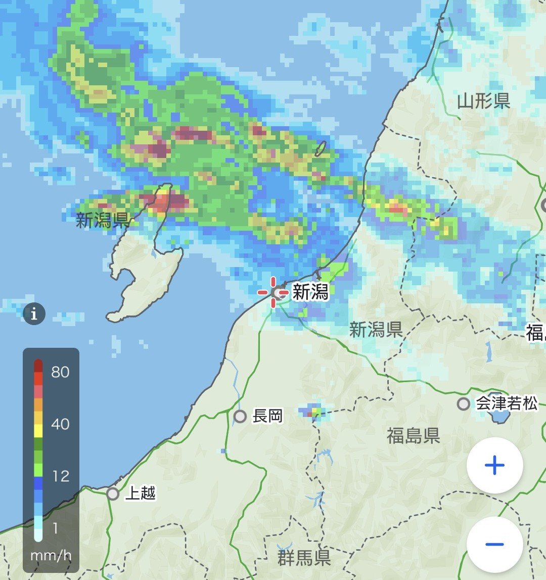 おはようございます。雨だよー☂️皆さま、よい1日を🐸