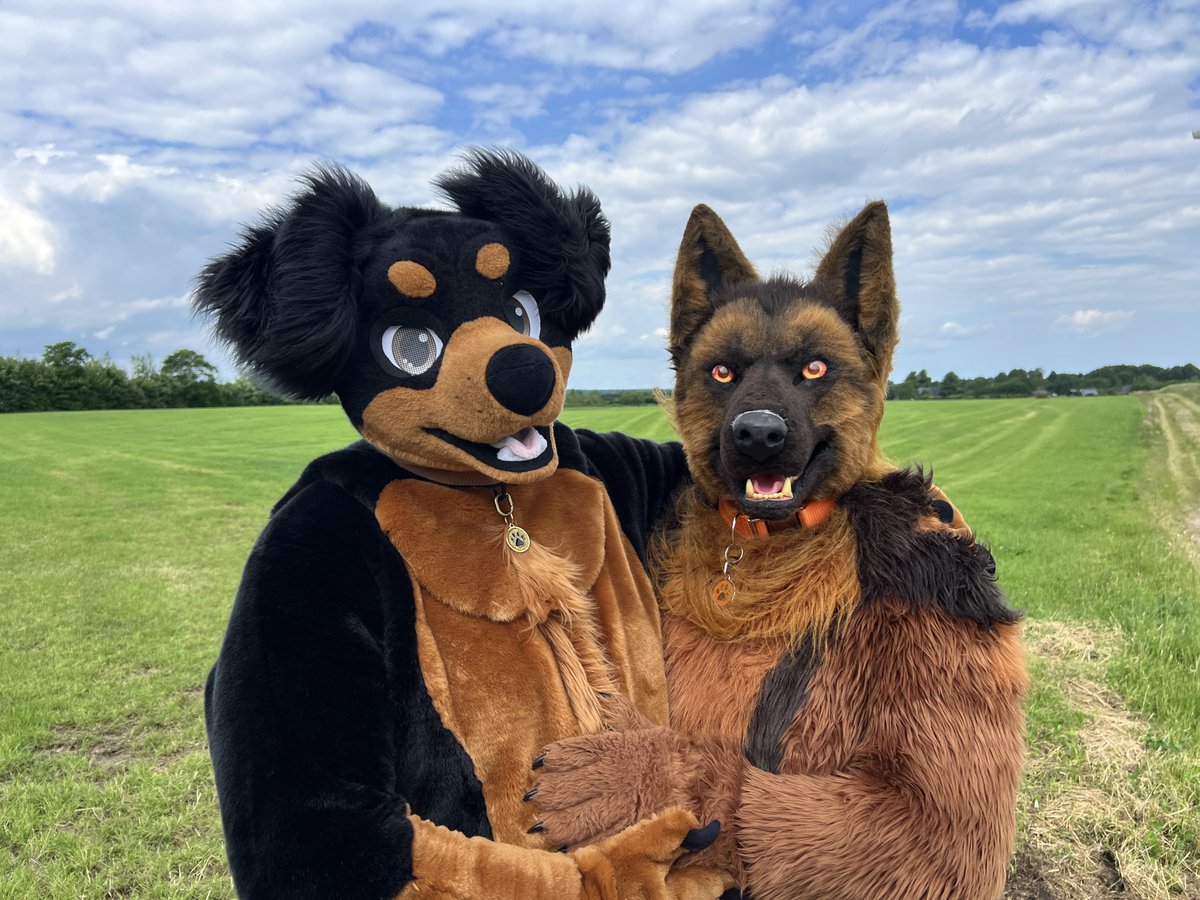 BerkWolf's tweet photo. Happy #FursuitFriday in my 🐕 @berrexter suit

✂️ @IrruanWorkshop
🐺 @Doggy_Bronco ✂️ @Sasa_Creations
🌆 #Böklund 🇩🇪

#Photoshooting #Fursuit #Furry #Dog #Shepherd #Berk #BerkWolf #Berrexter #Bronco

Follow my Berk-News (TG):
https://t.co/AIwKf2hO05 https://t.co/yndOXdiO3l