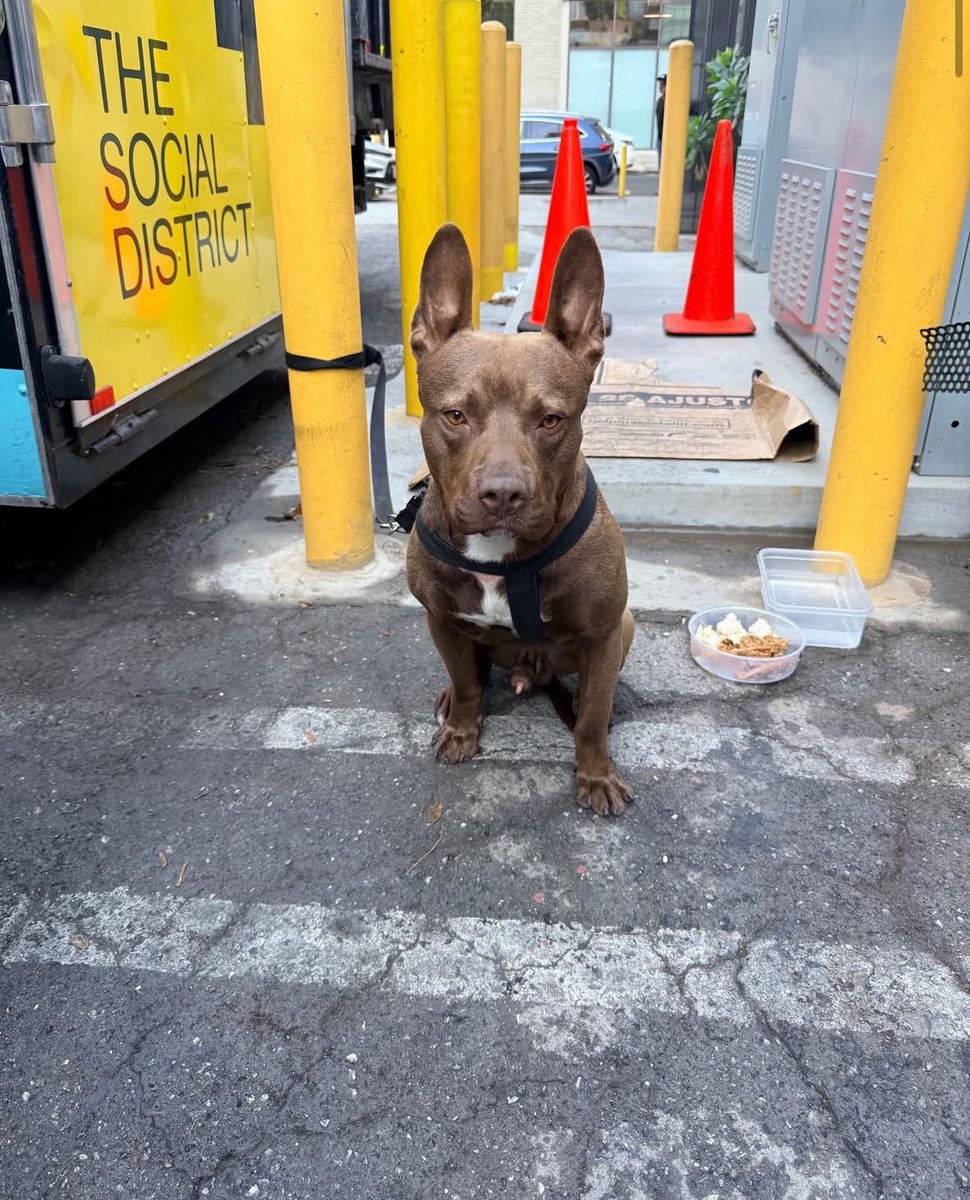 joey_tuccio's tweet photo. This angel was just found in a TRASH BIN on Skid Row. https://t.co/n7HRf3eJzu