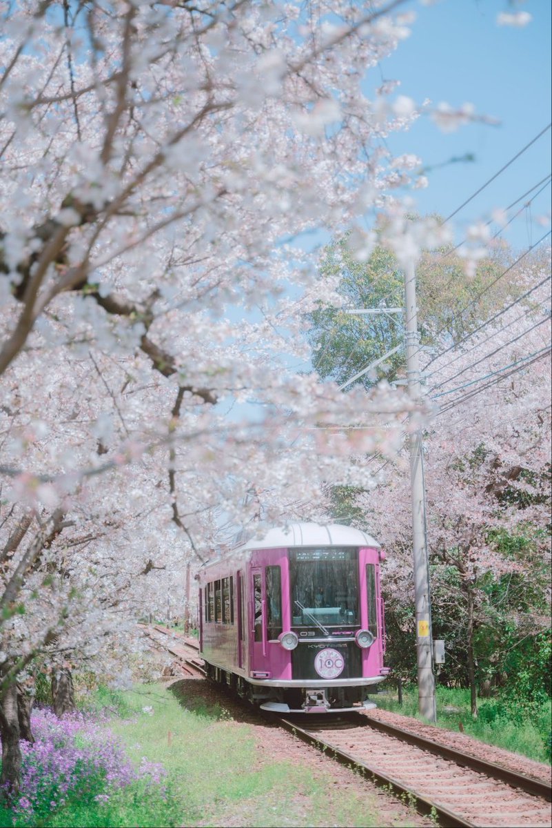 📸로운 tweet media