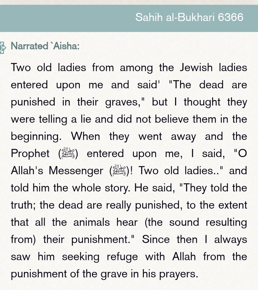 eternalbread_'s tweet photo. Meanwhile Muhammad started praying to Allah to not torment him in the grave, right after 2 old Jewish ladies told Aisha that 🤣 https://t.co/cCmgQk1WHe