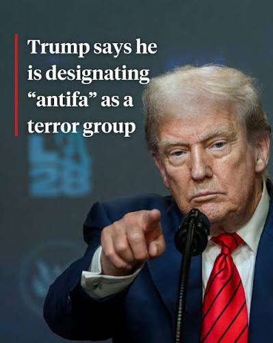 mdalkldi1918's tweet photo. @LucasSa56947288 Trump invented a pretext and a charge to arrest the young man!!
A dictator with the brain of a mosquito!! https://t.co/Uy4k6h74Kt