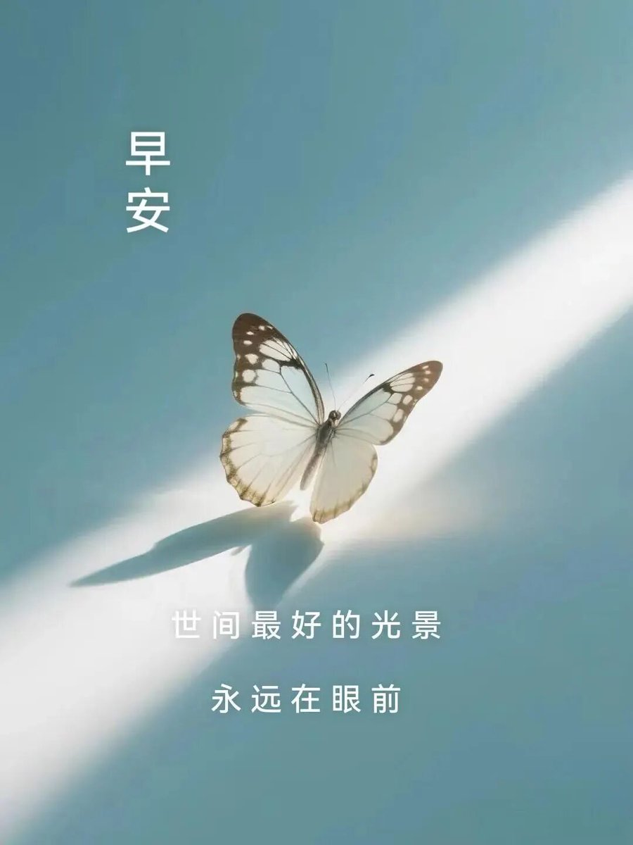 ordostc's tweet photo. Start your day with joy.
满怀欢喜，开启新一天。 https://t.co/QRmPIu0H1p