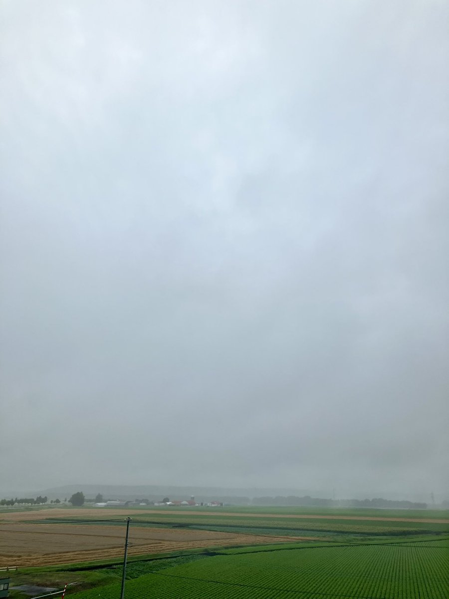 ryugetsu_tokach's tweet photo. おはようございます！
今朝の十勝は霧雨です🌧️ https://t.co/6YP5ijuzRC