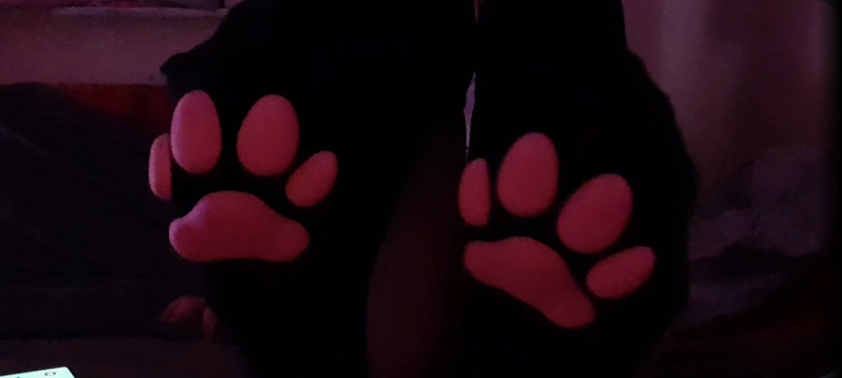 stuffedluvv's tweet photo. haiii :3 https://t.co/THNfkSkmww
#nsfwtwt #cnc #ageplay https://t.co/8499DEtMRW