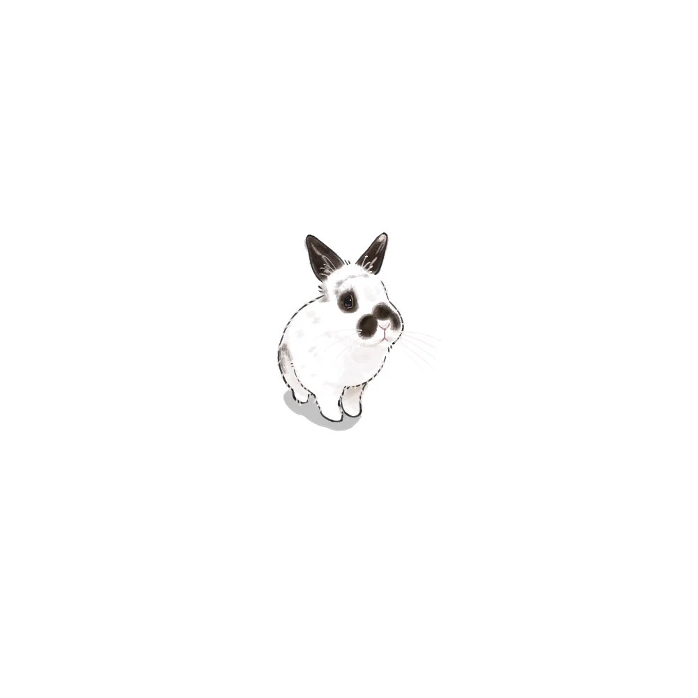 オーダーペイント　白うさぎさん　似顔絵 ｼｮｯﾄ‼︎ on X: 