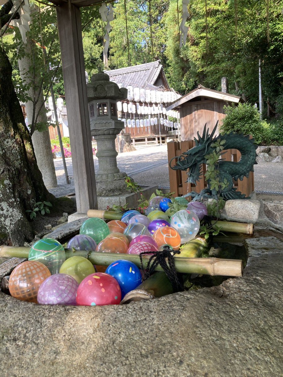 ryushijinja's tweet photo. おはようございます☀
本日の花手水、水風船です🎈
夏祭りの雰囲気を味わってください✨

#立志神社
#花手水
#湖南市
#滋賀県
#神社 https://t.co/Sh1Z9Ipq7r