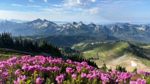 SherieSimpson's tweet photo. @TiffanyFong Mt Rainier WA https://t.co/H3cFlMTNkJ