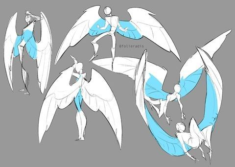 pinkubeauty's tweet photo. Sky or sea—which creature wins the ultimate showdown? 🪽⚔️🌊 https://t.co/DFI99VuleL