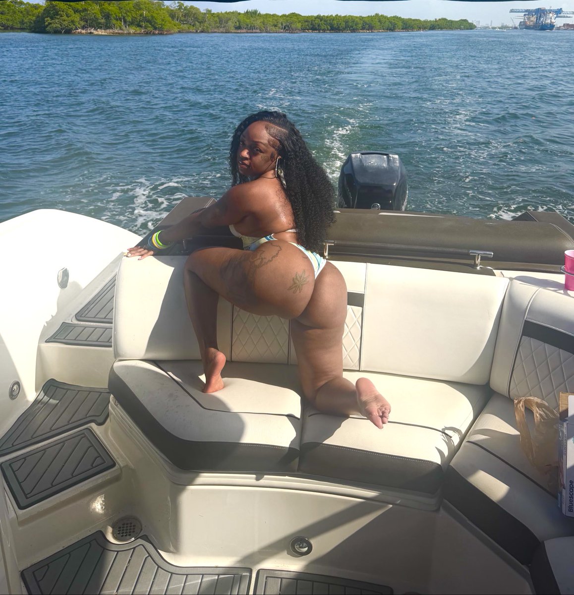 Shaylaa tweet media