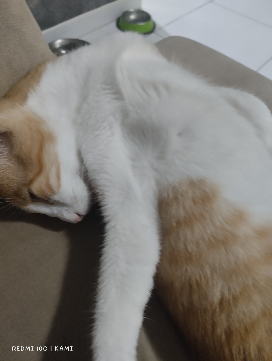 forysduh's tweet photo. Uma leve impressão de que ele quebrou o pescoço https://t.co/lUP1XKNI8z