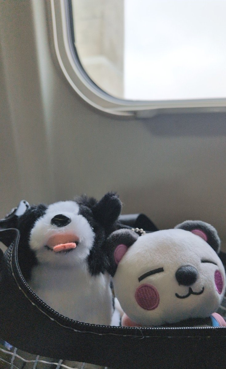 momo_mon37's tweet photo. さんだーちゃんといろはと一緒に出発 https://t.co/zYNvflXo4R