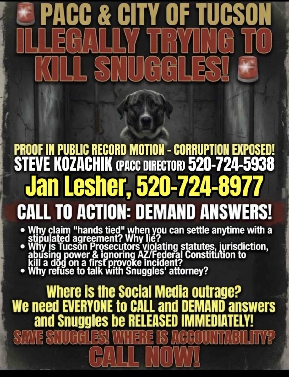 mistclance's tweet photo. @brendanmjones @JenniferEvn22 Well said. Pima County didn’t have to go this far, but they chose the bully route. Taking Snuggles was illegal and they know it.
Love and justice are on your side, @JenniferEvn22 — take them to the cleaners. The system can’t handle what real loyalty looks like.
#SaveSnugglesnow https://t.co/wNwRfJX0Mx