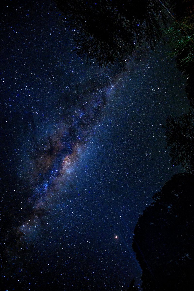 curiosity_posts's tweet photo. Milky way https://t.co/lkpTwZMgpY