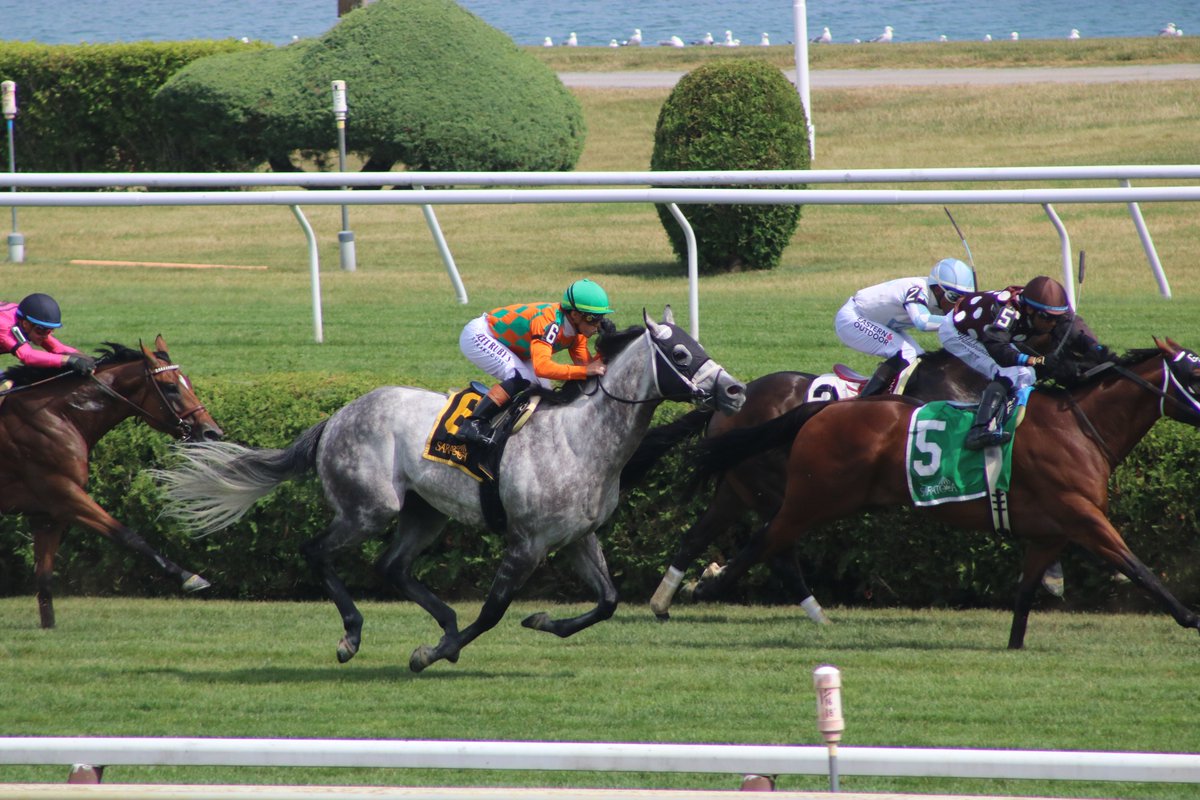 America’s Pastime Stables tweet media