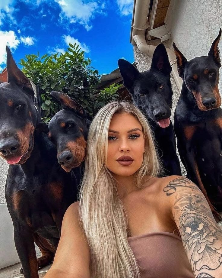jonah_23's tweet photo. They definitely know how to treat a lady come watch on tonight's show 😉 💋 🐶
Link 🖇️ in my bio 
#Dogs #CanineCompanion ##PetVibes https://t.co/AQgzdJx4ZR