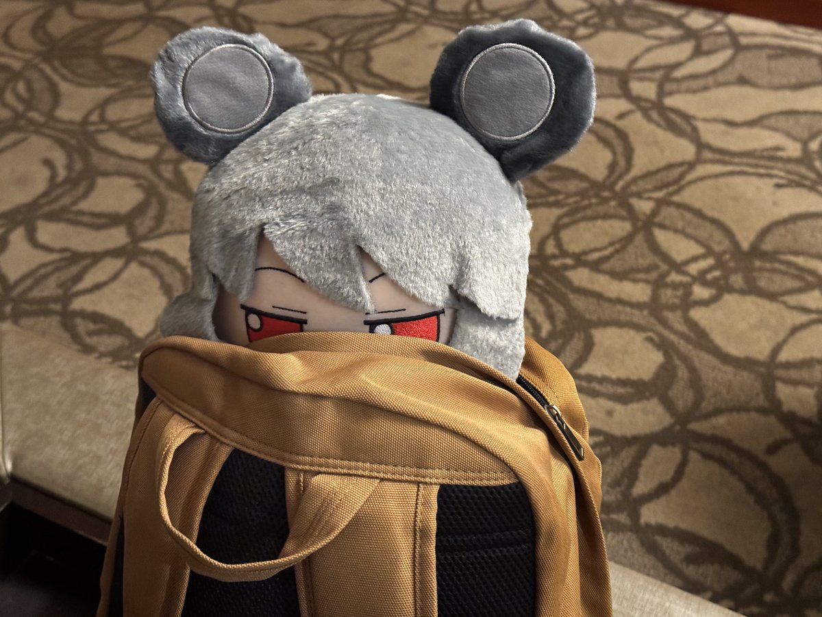 BakappleSupreme's tweet photo. @HmsHood473508 Ratte in my luggage https://t.co/iv6rwsnpOv