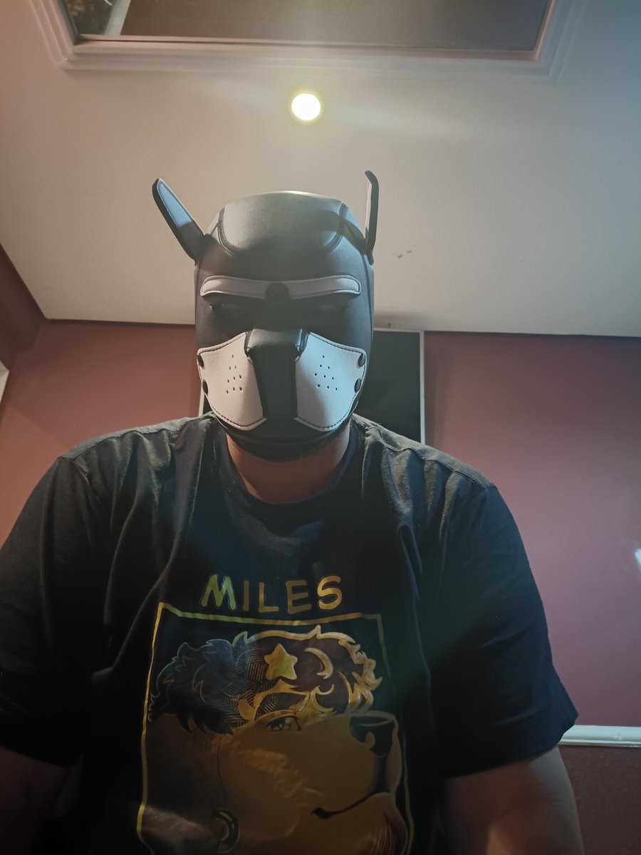 MilesP0werGames's tweet photo. Comprei uma pupmask e não me arrependo, mó linda vey https://t.co/tmLOBw85yu