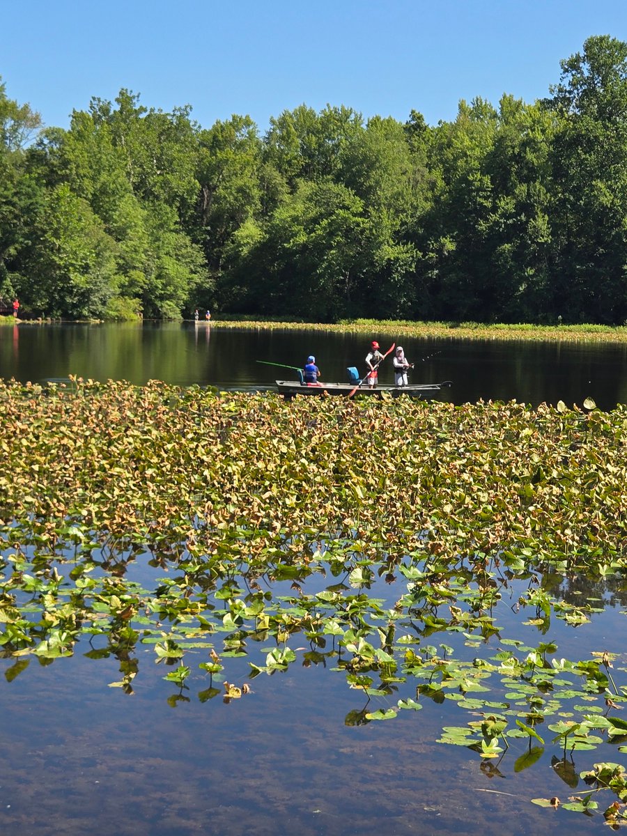 CampEdge1's tweet photo. 🎣🐟 Day 4 at #FishingCamp #2 was a catch! ☀️🎣🏆🐠
Campers spent the day on the water fishing &amp; catching, practiced their casting techniques, competed in fishing trivia games, &amp; had a blast playing Gaga Ball. #ExpectationOfSuccess  #FishingFun #OutdoorAdventure #CatchOfTheDay https://t.co/IrCeFPA5fL