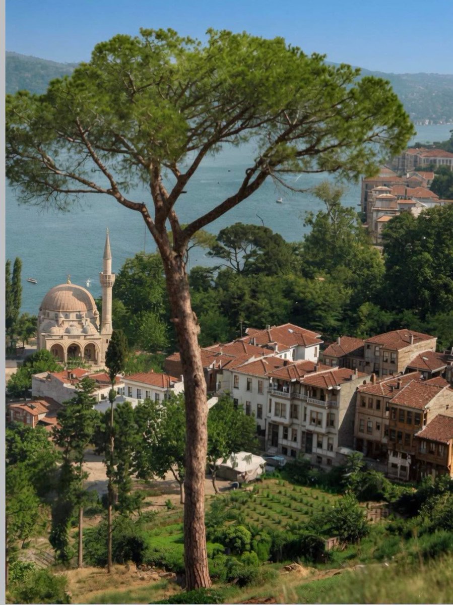 CNybak's tweet photo. Bebek, on the Bosphorus, 1920s
with Bebek Mosque

Photo from BANA İSTANBUL'U ANLAT.🇹🇷 https://t.co/QLaNSygH1W