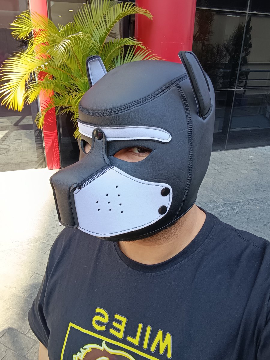 MilesP0werGames's tweet photo. Comprei uma pupmask e não me arrependo, mó linda vey https://t.co/tmLOBw85yu