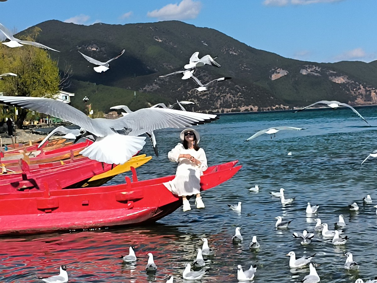 ZoraZarya's tweet photo. 在大理环洱海骑了一下午，风裹着桂花香扑到脸上，洱海边的落日把云染成橘子糖色，连头发丝都浸着松弛感 https://t.co/jNxoVagOJh
