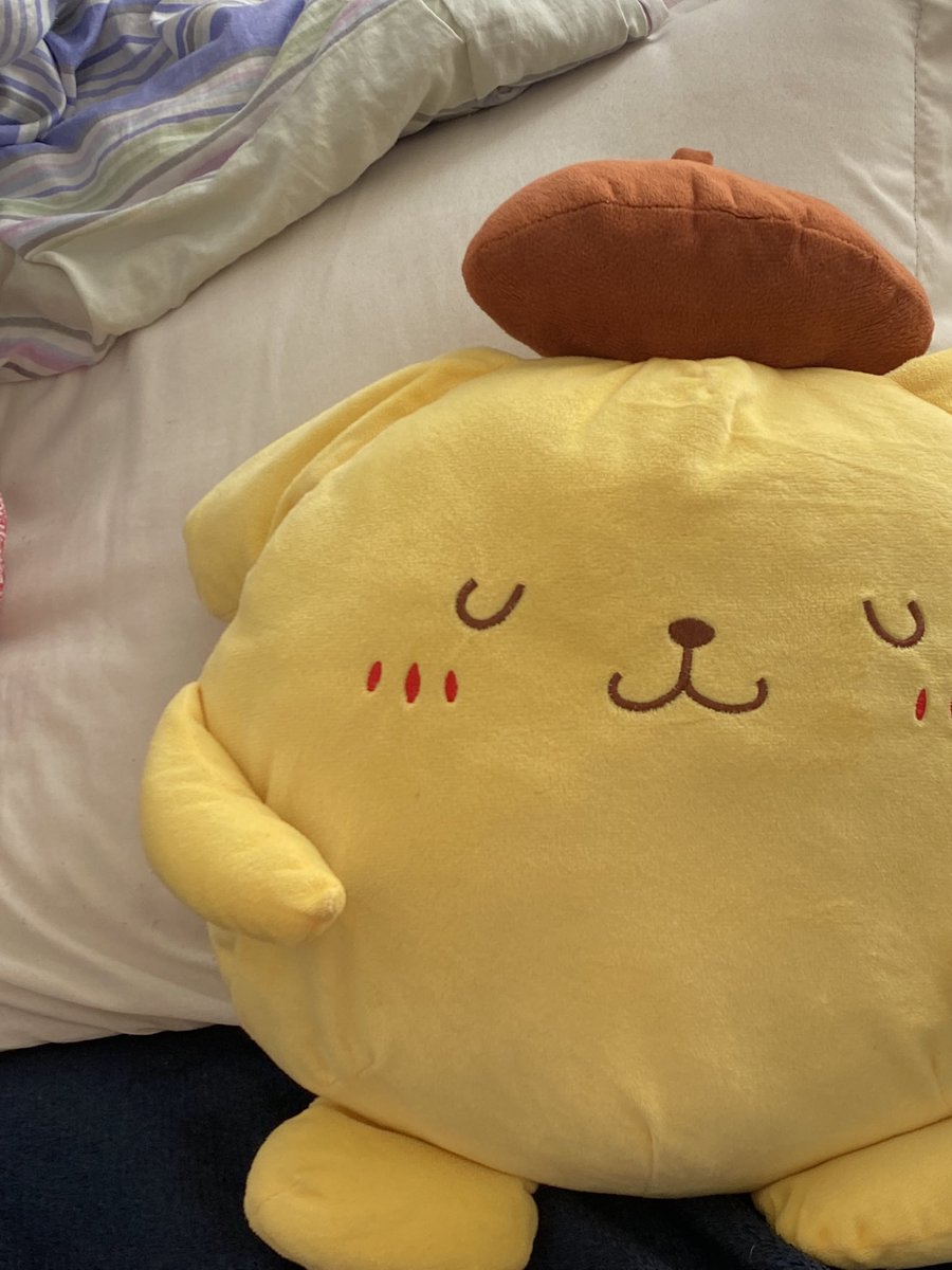 o2minj's tweet photo. aquela amiga q tem hiperfoco no pompompurin https://t.co/krEgMu5Dls