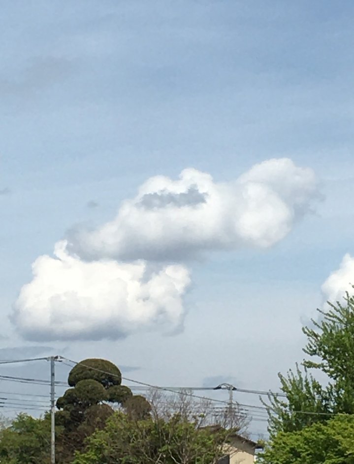 runamarunn's tweet photo. おはようメタモン。 https://t.co/RYpCnEx5Ra